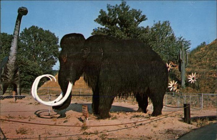 Prehistoric Forest - Vintage Postcard Of Prehistoric Elephant